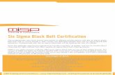 Six Sigma Black Belt - MISP Training & Consultancymisptraining.com/wp-content/uploads/2014/07/Six-Sigma-Black-Belt.pdf · Professionals with the six sigma black belt will be leading