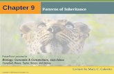 Chapter 9 Patterns of Inheritance - Napa Valley College ...napavalley.edu/people/briddell/Documents/BIOL 110/09_Lecture... · Chapter 9 Patterns of Inheritance ... Eggs F 1 generation