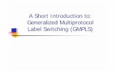 A Short Introduction to: Generalized Multiprotocol Label ...ece.drexel.edu/courses/ECE-S623/GMPLS.pdf · The IETF MPLS WG.! The “Birds of a Feather” session for the IP-Tag-ARI
