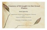 Causes of Drought in the Great Plains - · PDF file07/10/2012 · Causes of Drought in the Great Plains ... No one definitive definition exists - drought is in the eyes of ... evaporative