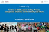 Review of GCED Agenda Setting Process: background ... History • Language • Science • Arts • Physical Education • Literature • Drama What is Global Citizenship Education?