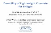Durability of Lightweight Concrete for Bridges expect that the apparently porous lightweight aggregate (LWA) could not provide durability that is comparable with normalweight concrete