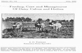 Feeding, Care and Management Of Dairy Calves and Heifersarc.lib.montana.edu/msu-extension/objects/ext1-000143.pdf · Feeding, Care and Management Of Dairy Calves and Heifers By ...