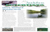 Ohio Series Ohio’s Wetland Wonderlands wetlands 1 fixed.pdf · plants and animals that like the water do well in wetlands. As a result, some very special ... Their thick fur keeps