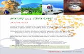 HIKING TREKKING - Tourismus · PDF filethis Park also has some impressive groups of megaliths which are among the best megalithic ... beauty and chalenges of East Java highland. ...