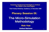 The Micro-Simulation  · PDF fileThe Micro-Simulation Methodology ... Wage determination Employment, ... • The two methods (2A and 2B) define total per capita