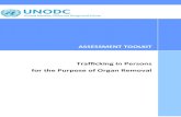 Trafficking in Persons for the Purpose of Organ Removal · PDF filePART 1 – Trafficking in Persons for the Purpose of Organ ... TOOL 6 – Assessment of screening procedures ...