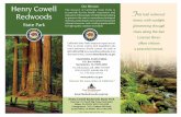 Henry Cowell Our Mission Redwoods T - California State · PDF fileFelton, CA 95018 (831) 335-4598 Campground: 2591 Graham Hill Road Scotts Valley, CA 95060 (831) 438-2396 ... the Santa