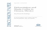 Deforestation and Shade Coffee in Oaxaca, Mexico: Key ... · PDF fileDeforestation and Shade Coffee in Oaxaca, Mexico Key Research Findings ... Also, Conservation International, Starbucks,