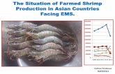 The Situation of Farmed Shrimp Production in Asian ...fenacam.com.br/pdf/fenacam2014/carcinicultura/5-situacao-da... · The Situation of Farmed Shrimp Production in Asian Countries