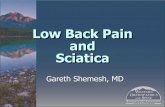 Pain Syndromes: Back Pain And Sciatica - Western ??CT plus myelography . Assessment of Chronic Back Pain and Sciatica: Diagnostic Blocks ... â€¢With sciatica and positive neurologic