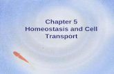 Chapter 5 Homeostasis and Cell Transportrhs.ramonausd.net/UserFiles/Servers/Server_129518/File/Teacher... · lower concentration ... 6. What is osmosis? •Osmosis is the movement
