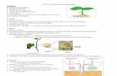 PLANTS -   · PDF fileHave vascular tissue (xylem & phloem) for transport of water and nutrients 4. ... adaptation for egg on land 7. Examples: penguin, hawk, robin, chicken