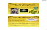 BI 103: General Biology Plant & Animal Systemscf.linnbenton.edu/mathsci/bio/bienekr/upload/BI 103 Lec 1...BI 103: General Biology Plant & Animal Systems ... physiology of plants and