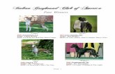 Italian Greyhound Club of America - · PDF file1999 Canfield, OH Judge: James J Mitchell BISS: Ch Bo-Bett Perry Peridot 1998 Ravenna, OH Judge: Mrs. Martha Olmos-Olivier BISS: Ch.