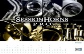 Session Horns Pro Manual English - e-instruments · PDF file1 Welcome to SESSION HORNS PRO Thank you for choosing SESSION HORNS PRO. SESSION HORNS PRO is a highly expressive and versatile