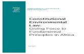 Constitutional Environmental Lawpdf.usaid.gov/pdf_docs/PNACR615.pdf · Constitutional Environmental Law: ... C. Applying the Constitutional Right to a Healthy ... constitutional environmental
