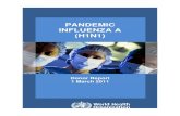 PANDEMIC INFLUENZA A (H1N1) - World Health -  · PDF filepursuing these interventions WHO mitigated the impact of pandemic influenza A (H1N1) and