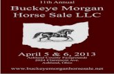 Buckeye Morgan Horse Sale LLCbuckeyemorganhorsesale.net/uploads/Fri_April_2013_web.pdf · 1 11th Annual Buckeye Morgan Horse Sale LLC April 5 & 6, 2013 Ashland County Fairgrounds