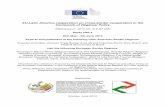 EU-Latin America cooperation on cross-border cooperation ... · PDF fileEU-Latin America cooperation on cross-border cooperation in the ... 2 Monday, 20 th May Departure ... “Danzón”
