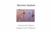 Nervous System Class Notes - San Dieguito Union High ...teachers.sduhsd.net/jmccluan/HCE/Notes/Nervous System Class Notes... · • Identify the main parts (anatomy) ... (physiology)