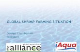 GLOBAL SHRIMP FARMING SITUATION - FENACAM - …fenacam.com.br/pdf/fenacam2014/carcinicultura/2-panorama-global-da... · GLOBAL AQUACULTURE ALLIANCE ... • Supreme Court of India