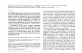 Studies Pathogenesis of Angioimmunoblastic Lymphadenopathydm5migu4zj3pb.cloudfront.net/.../JCI85111966.pdf · Studies of the Pathogenesis of Angioimmunoblastic Lymphadenopathy ...