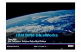 IBM BPM BlueWorks BPM BlueWorks is a unique offering that combines BPM content community and cloudcontent, community, ... APQC Process Classification Framework 13
