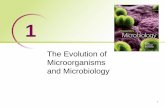 The Evolution of Microorganisms and Microbiology · PDF file · 2013-09-22each of the major types of microbes 4. Determine the type of microbe ... decide if a particular microbe is
