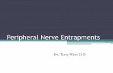 Peripheral Nerve Entrapments - Academy of Osteopathyfiles.academyofosteopathy.org/CME/2013OMED/West... · •Reversible injury ... and form the radial tunnel . ... •Wrist drop •Also