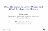 Does Housework Lower Wages and Why? Evidence …/file/mark_slides.pdfDoes Housework Lower Wages and Why? Evidence for Britain ... • Negative effect for married women • Only weak