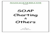 SOAP Charting Others - Massage Nerdmassagenerd.com/.../SOAP_Charting_Others_Ryan_Hoyme... · MASSAGENERD.COM Presents SOAP Charting & Others By Ryan Hoyme CMT, NCTMB, HST