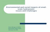 Environmental and social impacts of small- scale ...siteresources.worldbank.org/.../5106220-1234469721549/14.3_Environ… · Environmental and social impacts of small-scale hydropower: