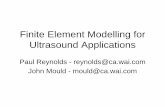Finite Element Modelling for Ultrasound Applications · PDF filetransducer components ... – Consistent damping function required ... • “Building block” of model Element Node