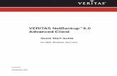 VERITAS NetBackup Advanced Client - York · PDF fileA disk mirror created by the VERITAS Volume Manager (VxVM). ... the SCSI Extended Copy command. Thir d-party copy device also refers