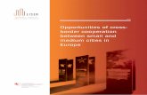 Opportunities of cross- border cooperation between small ... · PDF fileResidents from neighbouring countries ... In the course of their histories, ... The Schengen agreement entered