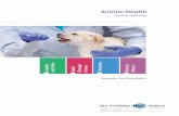 Animal Health Overview GB 1710 - JRS · PDF fileAnimal Health Customize Your ... Thickener Outstanding long term stabilization of insoluble ingredients by a three- ... High Functionality