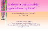 Is there a sustainable agriculture option? there a sustainable agriculture option? Overseas Development Institute 20th June 2001 Professor Jules Pretty, Centre for Environment and