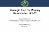 Strategic Plan for Mercury Remediation at Y -12energy.gov/sites/prod/files/2014/04/f14/Strategic Plan for Mercury... · Strategic Plan for Mercury Remediation at Y -12 . Laura Wilkerson