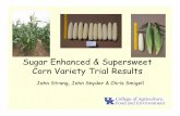 Strang Sugar Enhanced and Supersweet Corn Trial Results  · PDF fileSugar Enhanced & Supersweet Corn Variety Trial Results John Strang, John Snyder & Chris Smigell