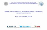 TUNNEL FACE STABILITY WITH MECHANIZED TUNNELING GENERAL ... FACE STABILITY WITH MECHANIZED TUNNELING GENERAL CONCEPTS Prof. Eng. Daniele PEILA Course in Tunnelling and Tunnel Boring
