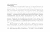 CLIL BACKGROUND - · PDF file · 2016-09-29repetitions in order to learn the new word” (in Ting 2011: 136), ... and Cummins (1978) through the linguistic interdependence hypothesis,