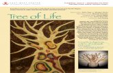 Malaysia:culture of Sarawak,FKenyah, Indigenous · PDF fileF F Judeo-Christian Tree of Knowledge: “Wisdom is a tree of life to them that lay hold upon it” –Proverbs 3:13-18 Daoist