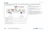 A Functional Role for Antibodies in Tuberculosis Article 1... · A Functional Role for Antibodies in Tuberculosis ... Harvard School of Public Health, ... PPD-speciﬁc Fc proﬁles
