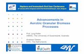 Advancements in Aerobic Granular Biomass Processes User Conference/1_Keller_Giesen_Innowatec… · Aerobic biological treatment Conventional Activated Sludge system (CAS) is widely