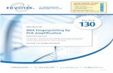 DNA Fingerprinting by PCR Ampliﬁ cation - · PDF fileDNA Fingerprinting by PCR Ampliﬁ cation ... Students will analyze PCR reactions obtained from different suspects and compare