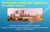 Endonasal endoscopic approach for orbital lesionsneuroendoscopy2017.com/.../2017/11/...approach-for-orbital-lesions.pdf · • Rt axial proptosis ... Endonasal endoscopic approach