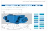 W22 Severe Duty Motors – TEFC - WEGecatalog.weg.net/files/wegnet/WEG-w22-medium-voltag… ·  · 2013-06-11All data subject to change without notice W22 Medium Voltage Severe Duty