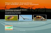 Wind Turbine Interactions with Wildlife and Their Habitats Turbine Interactions with Wildlife and Their Habitats A Summary of Research Results ... impacts result from the effects of