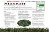 A class unto itself, Midnight is the strongest performing ...newsomseed.com/resources/MidnightKBG.pdfhave stood out in NTEP, private, and university trials for more ... .Midnight is